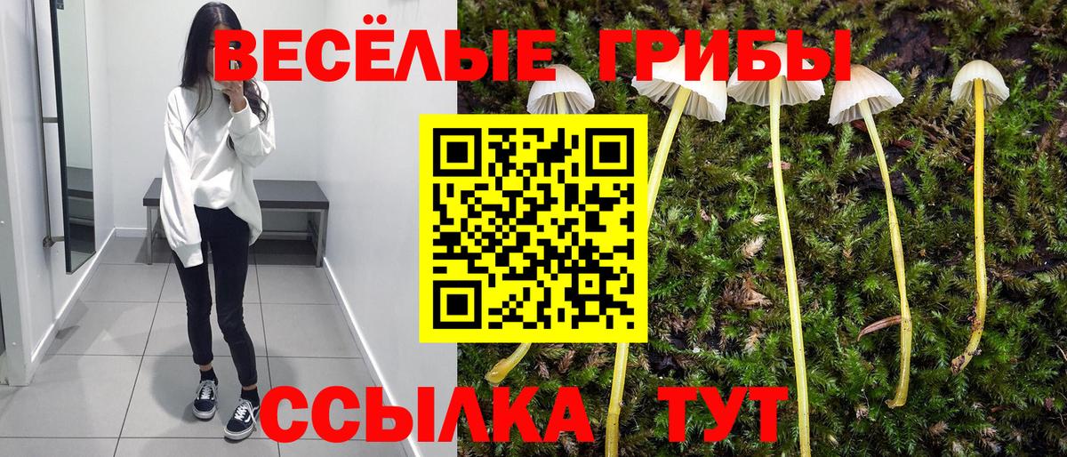 Галлюциногенные грибы мицелий  Псилоцибиновые грибы GOLDEN TEACHER  цена   Комсомольск-на-Амуре 