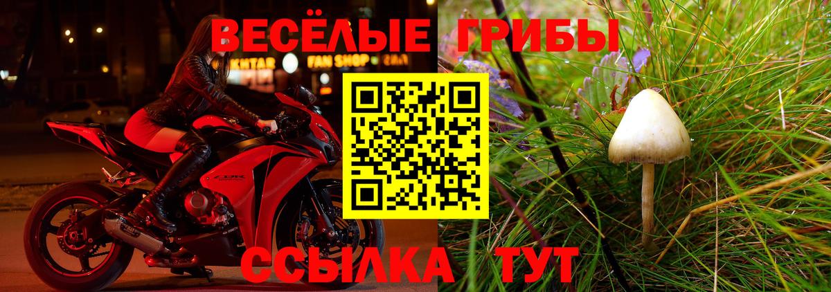Комсомольск-на-Амуре  Псилоцибиновые грибы Cubensis  Вход с VPN 
